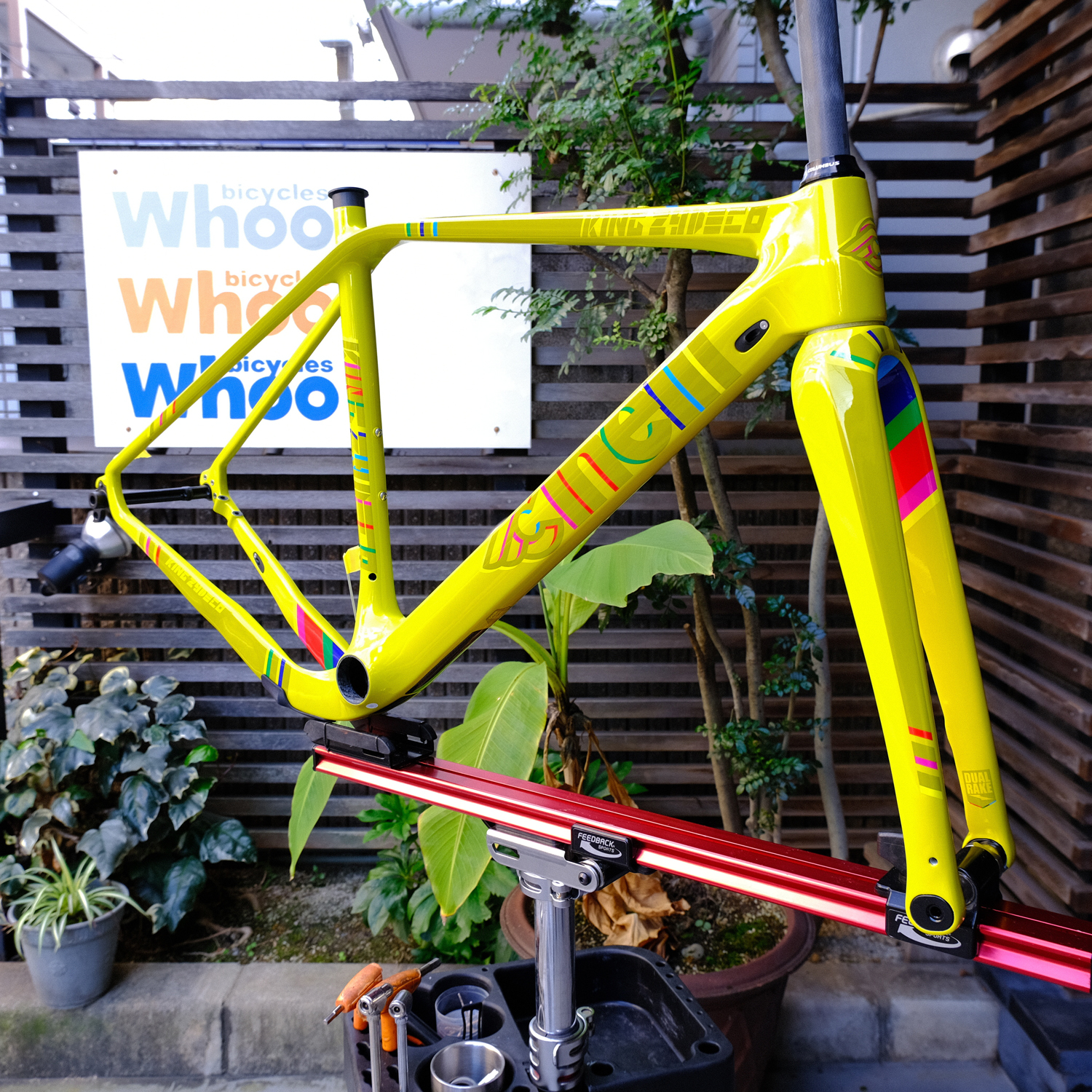 KING ZYDECO ☆ 2023 ☆ GUMBO | whoo bicycles