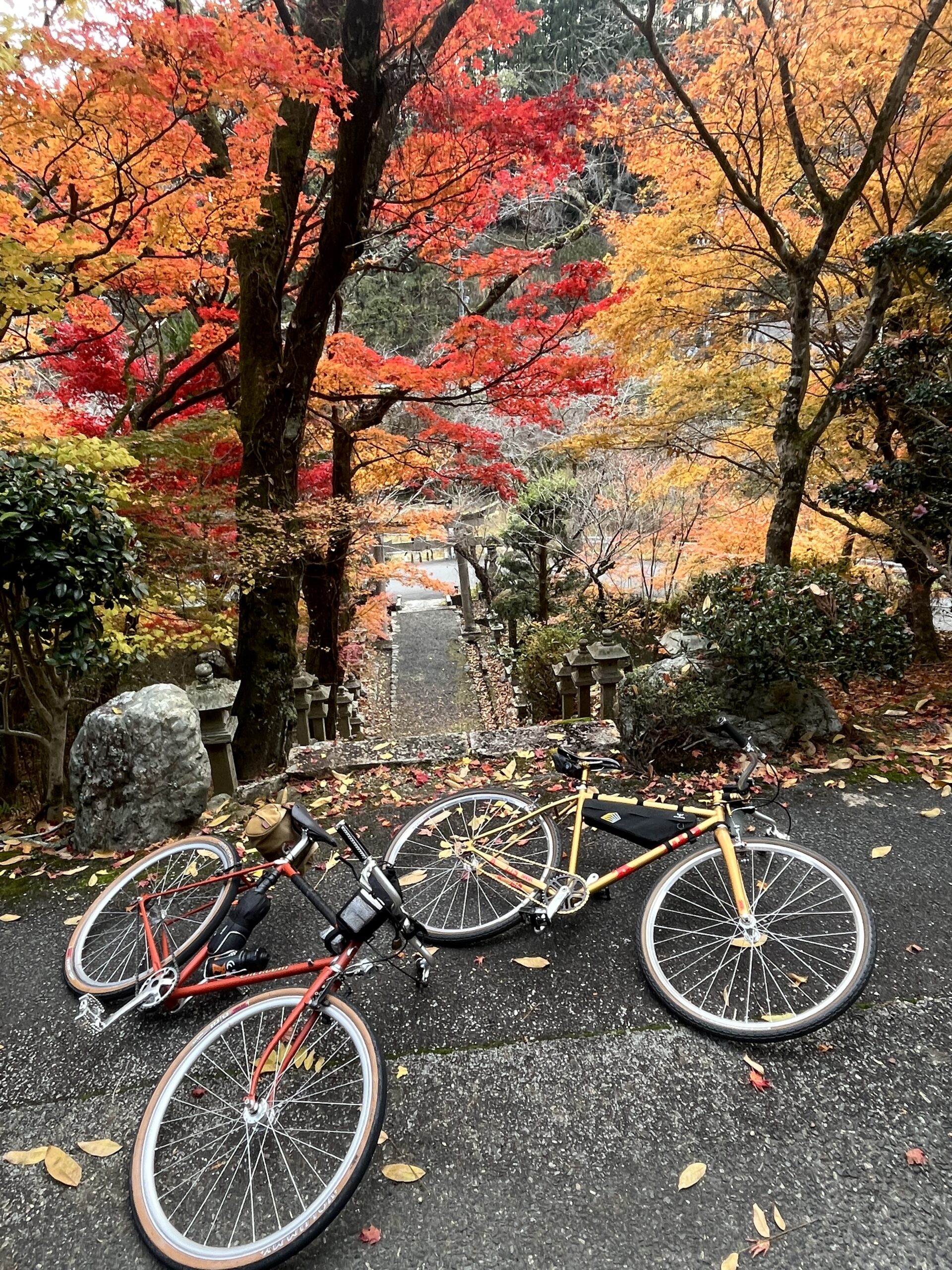冬のシングルスピードライド - whoo bicycles
